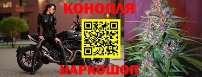 твердый Моздок
