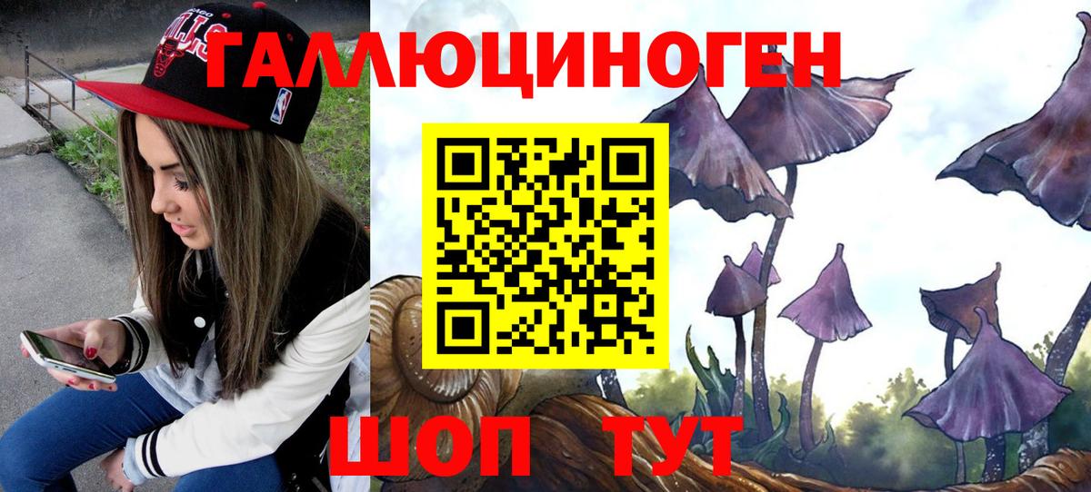 Псилоцибиновые грибы мицелий  Вход с VPN  Серпухов 